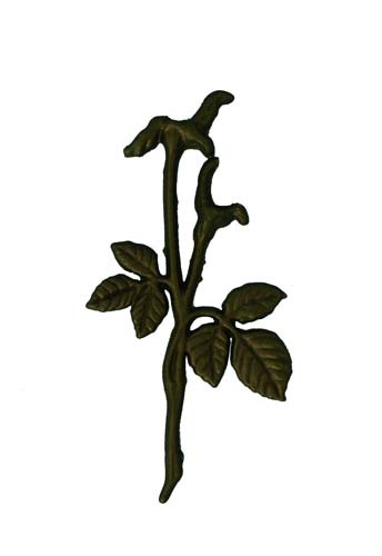 Wachsverzierung Rosengrün 11 cm