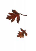 Wachsmotiv Herbstblatt Wachsmotiv Herbstblatt